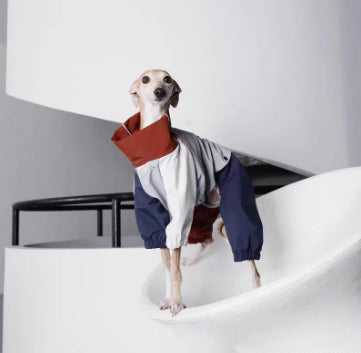 Chaqueta Impermeable para Perros Medianos - Protección Total Exterior - Image 8