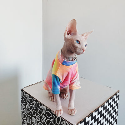 Ropa para Gatos sin Pelo Tie-Dye Arcoíris - Image 9
