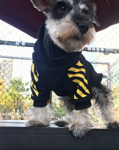 Suéter Acogedor para Cachorros - Image 9