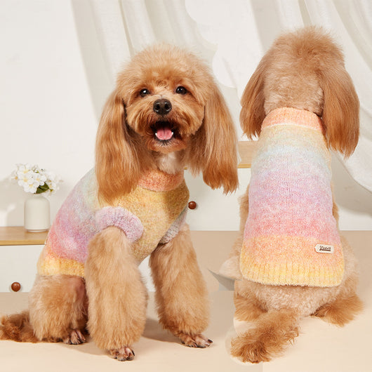 Suéter Arcoíris Dopamina para Mascotas - Tejido Suave y Cómodo - Image 2