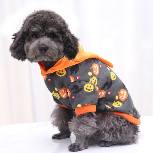 Ropa de Mascota Temática Halloween - Gato Negro, Araña y Calabaza - Image 13