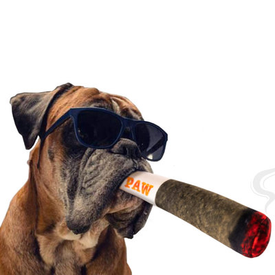 Juguetes para Perros Doggy Doobie - Peluches Chirriantes Divertidos para Perros Pequeños, Medianos y Grandes - Image 11