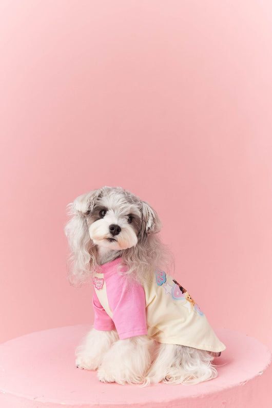Ropa de Verano para Perros con Contraste de Colores - Image 12