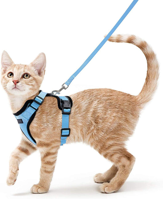 Arnés Ajustable Antiescapismo para Gatos con Correa Integrada - Image 3