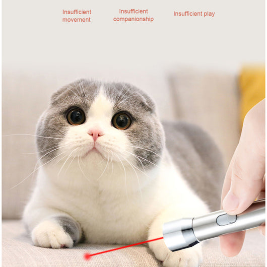 Silver stainless steel laser pointer pet toy with a grey wrist strap, resting on a white computer keyboard. - Image 6