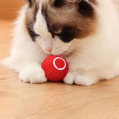 Pelota Interactiva Automática con Salto para Gatos - Juguete Eléctrico de Entrenamiento - Image 25