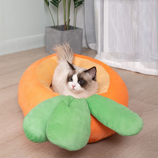 Arena para Gatos Suave y Cómoda con Aroma a Zanahoria