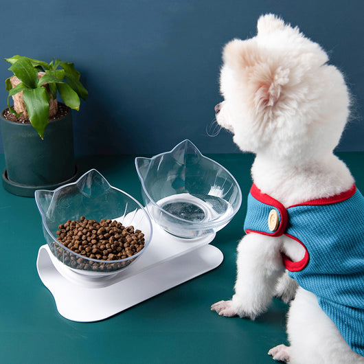 Comedero Inclinado Transparente para Gatos con Boca Oblicua
