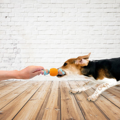 Juguete para Perro de Cuerda Algodón con Pelota Doble Nudo - Limpieza Dental