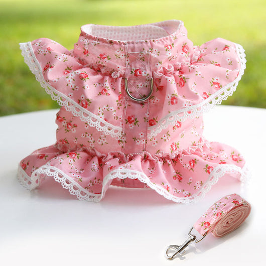 Arnés Pectoral con Correa para Perro Pequeño - Encaje Floral Primavera - Image 5