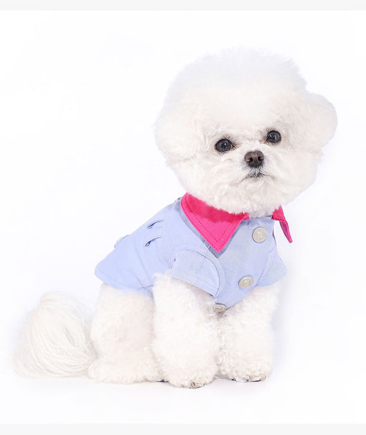 Chaleco de Seguridad para Perros Pequeños con Arnés y Cuerda de Tracción - Image 9