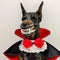 Disfraz de Halloween para Mascotas - Traje Teddy para Gatos y Perros