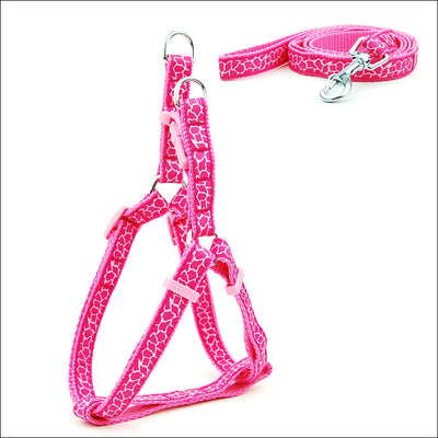 Arnés de Paseo Ajustable para Gatos y Perros Pequeños - Image 23