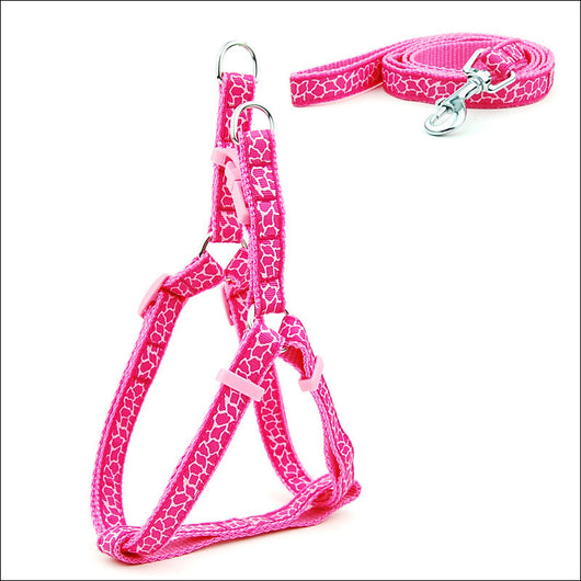 Arnés de Paseo Ajustable para Gatos y Perros Pequeños - Image 23