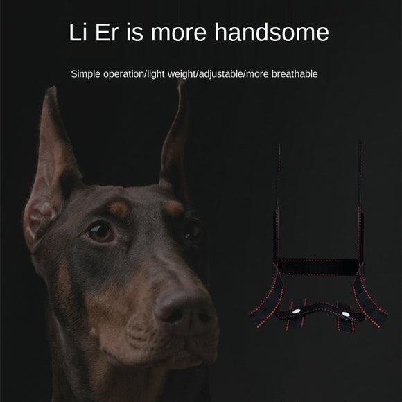 Corrector de Orejas para Perros - Dispositivo de Fijación Estético