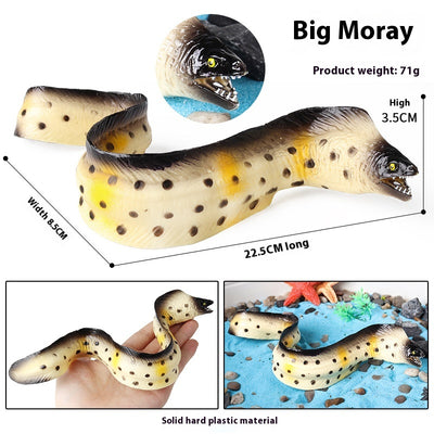 Juego Educativo de Animales Marinos Realistas para Niños - Image 81