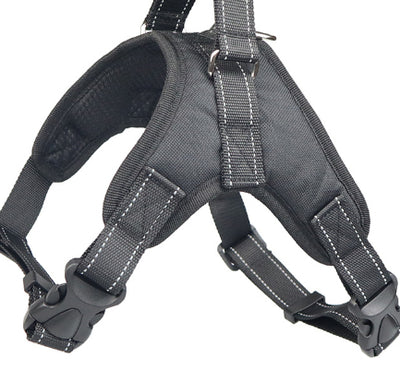 Blue and black mesh dog harness with adjustable straps, a D-ring for leash attachment, and a quick-release buckle. - Image 13