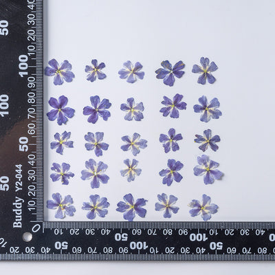 Marcapáginas con Flor de Cerezo Deshidratada - Accesorio Ornamental con Espécimen Botánico - Image 7