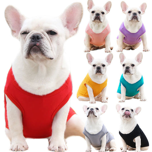 Chaleco y Camiseta para Perro XS-5XL | Ropa Fresca para Perros Pequeños - Image 2