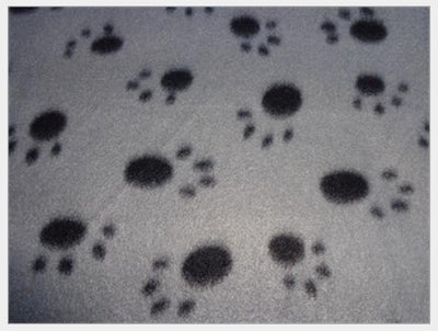 Cama térmica extra suave para perros - Image 7