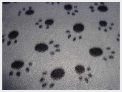 Cama térmica extra suave para perros - Image 7