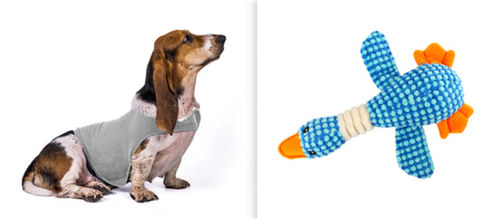 Chaleco Calmante para Mascotas - Ropa Terapéutica Antiansidad para Gatos y Perros - Image 5