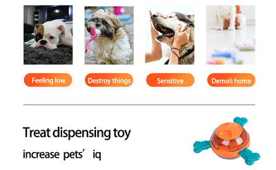 Juguete Interactivo Masticable para Perros - Dispensador de Premios y Estimulación Mental - Image 10