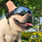 Gafas de Sol para Perros - Protección UV y Resistencia al Viento