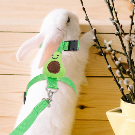 Arnés y Correa de Tracción para Mascotas Pequeñas - Seguridad y Control - Image 9