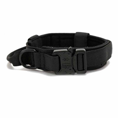 Collar de Tracción para Mascotas de Color Sólido - Image 5