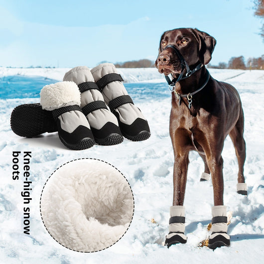 Botas Térmicas para Perros con Forro de Terciopelo Grueso