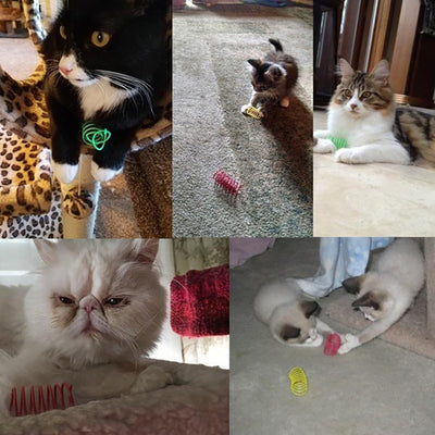 Juguetes para Gatos Resortes Coloridos de Acero Resistente - Image 12