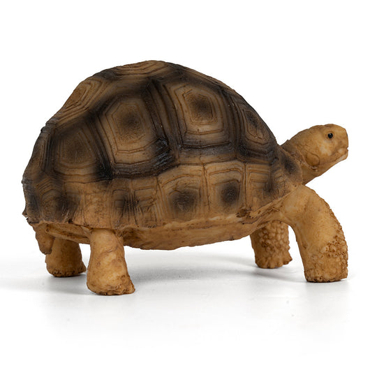 Adorno de Resina para Tortugas Brasileñas - Hábitat Acuático Realista - Image 3