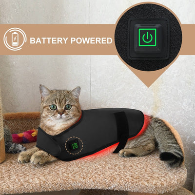 Dispositivo de Fototerapia Infrarroja Portátil para Mascotas con Temporizador - Image 7