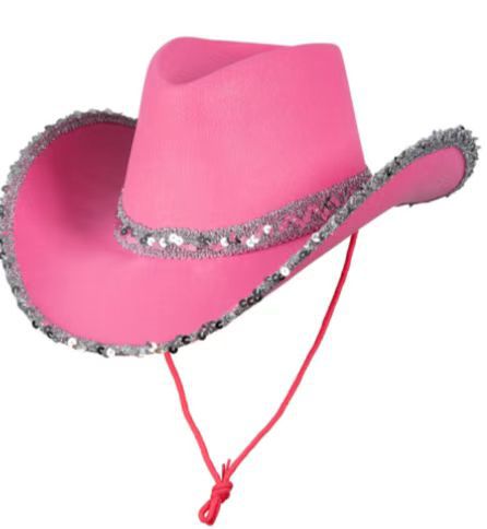 Sombrero Vaquero West Plateado con Borde Blanco