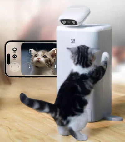 Comedero Automático para Gatos con Cámara 1080P, Control de Porciones y Visión Nocturna - Image 11