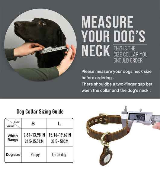 Collar Doble Cara de Cuero Genuino para Perro - Arnés Ajustable Antimotín - Image 11
