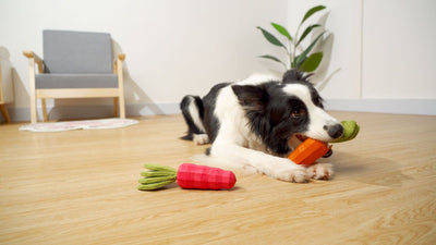 Juguete Masticable para Mascotas Zanahoria Resistente con Sonido - Image 13