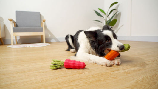 Juguete Masticable para Mascotas Zanahoria Resistente con Sonido - Image 13