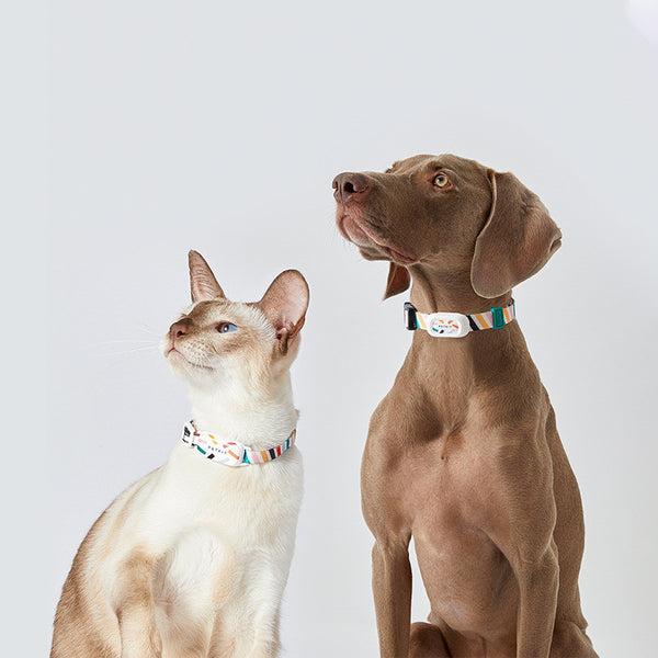 Collar Inteligente de Monitoreo de Actividad para Mascotas