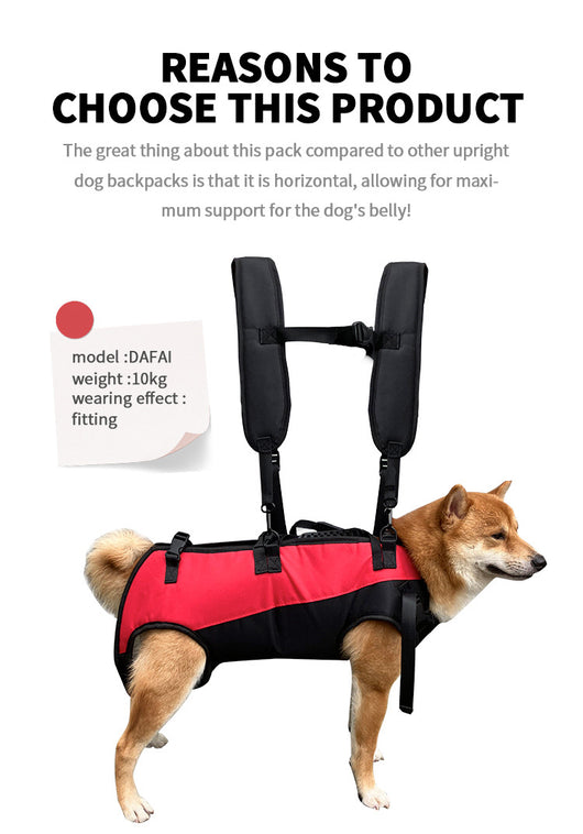 Mochila Transportadora Aérea para Mascotas - Paseos y Aventuras - Image 20