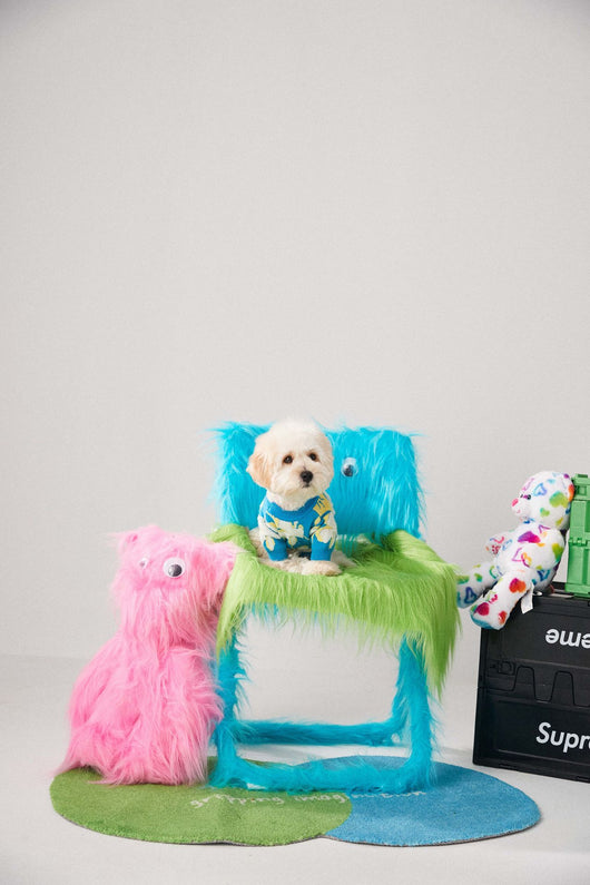 Suéter Cálido para Perros y Gatos - Abrigo de Invierno Teddy Bear Bomekoki - Image 9
