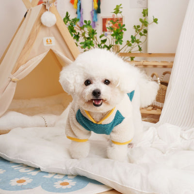 Suéter Térmico de Felpa Berber para Mascotas - Abrigo Grueso Otoño Invierno - Image 11