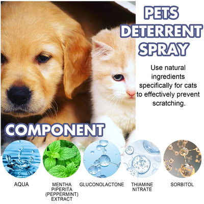 Spray Repelente Anti-arañazos para Perros y Gatos - Protege Puertas y Muebles - Image 4