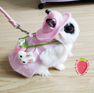 Arnés con Correa y Vestido para Conejo - Ropa Adorable para Mascotas