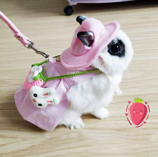 Arnés con Correa y Vestido para Conejo - Ropa Adorable para Mascotas