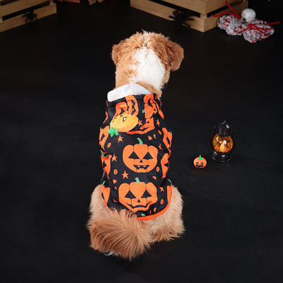 Suéter Calabaza para Perros y Gatos - Abrigo Cálido y Adorable - Image 10