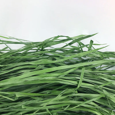 White box of Timothy grass pet food with cartoon rabbits, labeled as green, no pollution, high fiber, nutrition, and health, 1kg. - Image 5