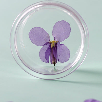 Flores Secas de Orquídea Violeta Premium - Image 3
