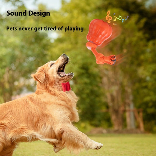 Orange pumpkin-shaped dog toy with a knotted rope, designed for outdoor training and interactive play.
